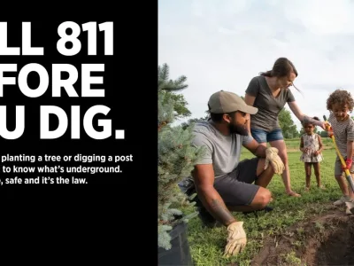 Call Before you dig Tree graphic